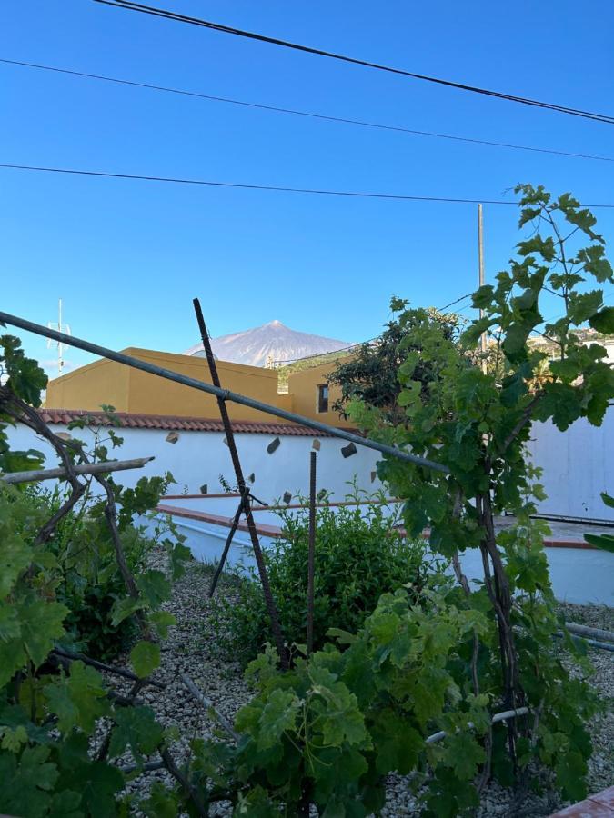 Casa La Oliva Leilighet Garachico  Eksteriør bilde