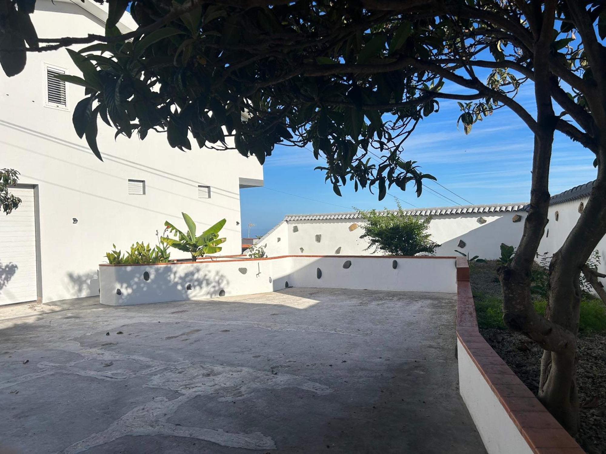 Casa La Oliva Leilighet Garachico  Eksteriør bilde
